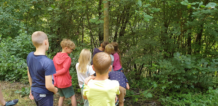 Der ultimative Ratgeber für eine unvergessliche Feier im Wald