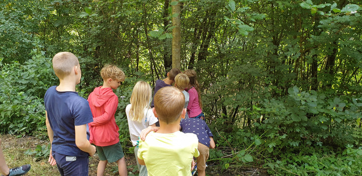 Motto: Kindergeburtstag als Naturforscher-Expedition – dein umfassender Leitfaden