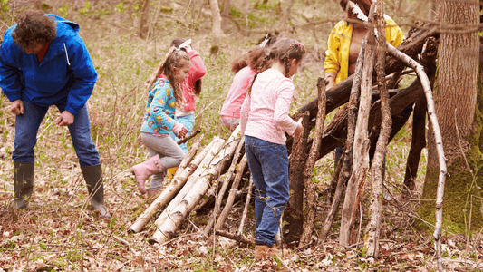 🏕️ Eine Bude im Wald bauen: Ein vollständiger Guide