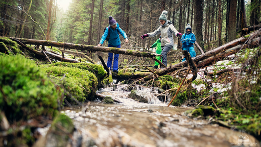 🌳 Querfeldein durch den Wald gehen – Ein spannendes Abenteuer