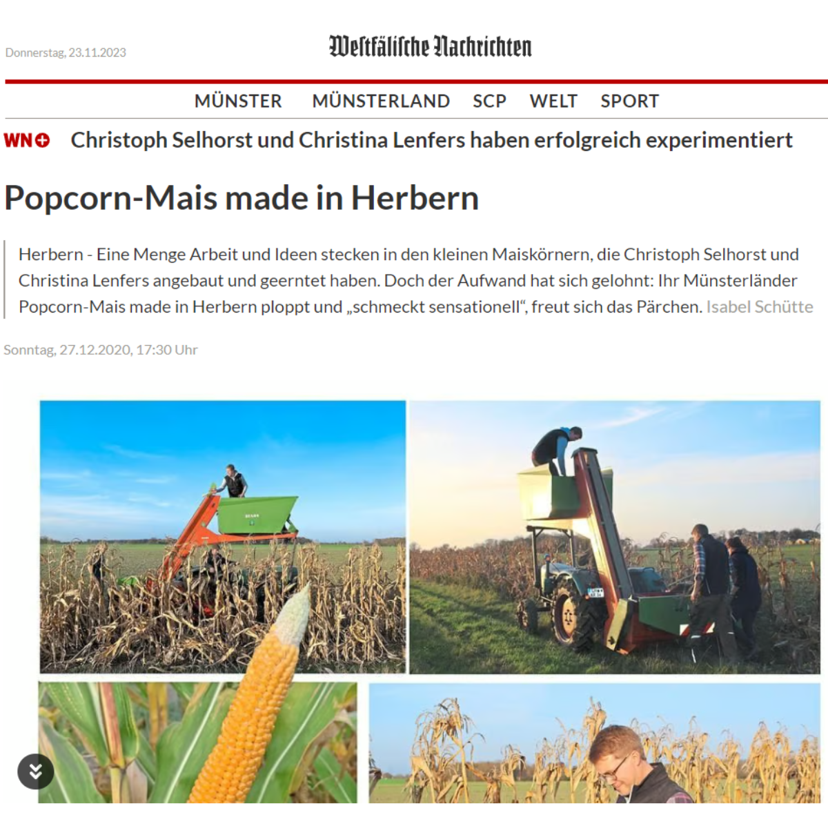 Münsterländer Popcornmais 100g