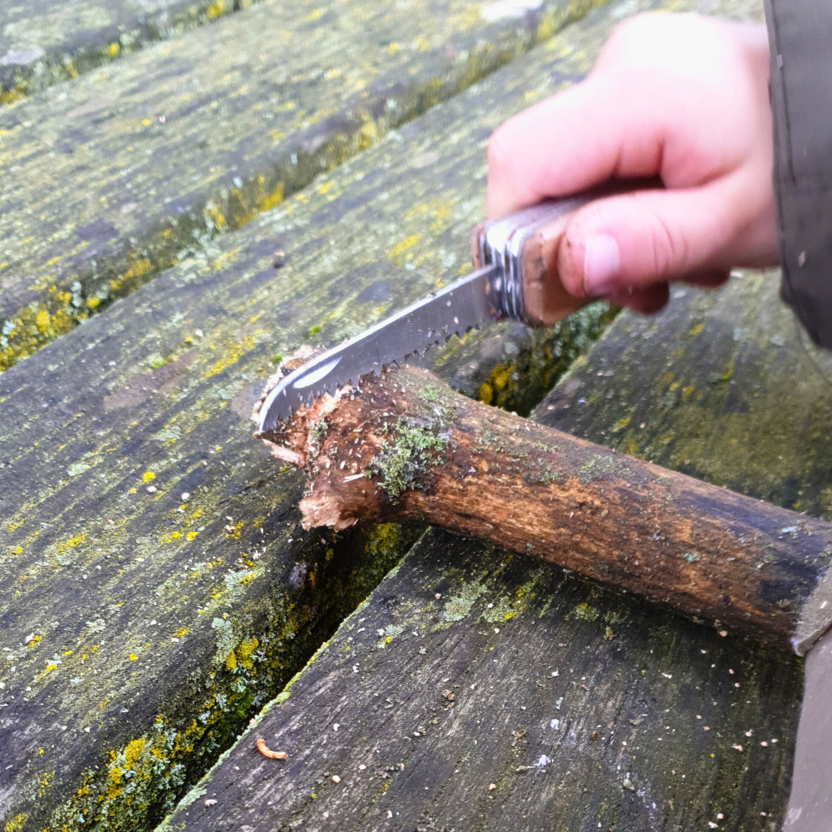 Mein erstes Taschenmesser