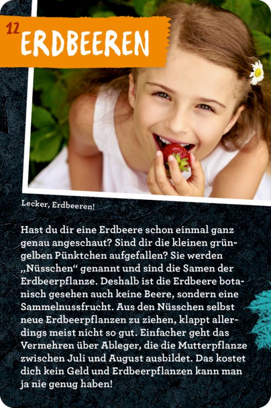 50 Garten-Projekte - Metallbox mit Karten