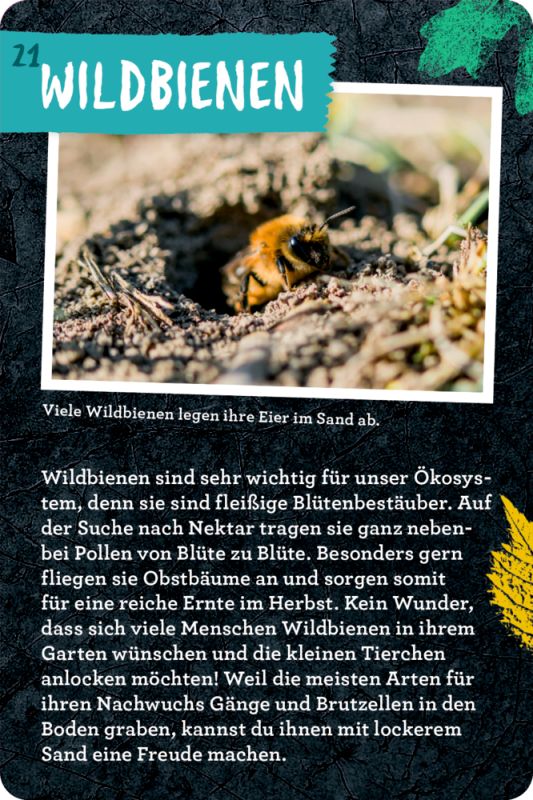 50 Garten-Projekte - Metallbox mit Karten