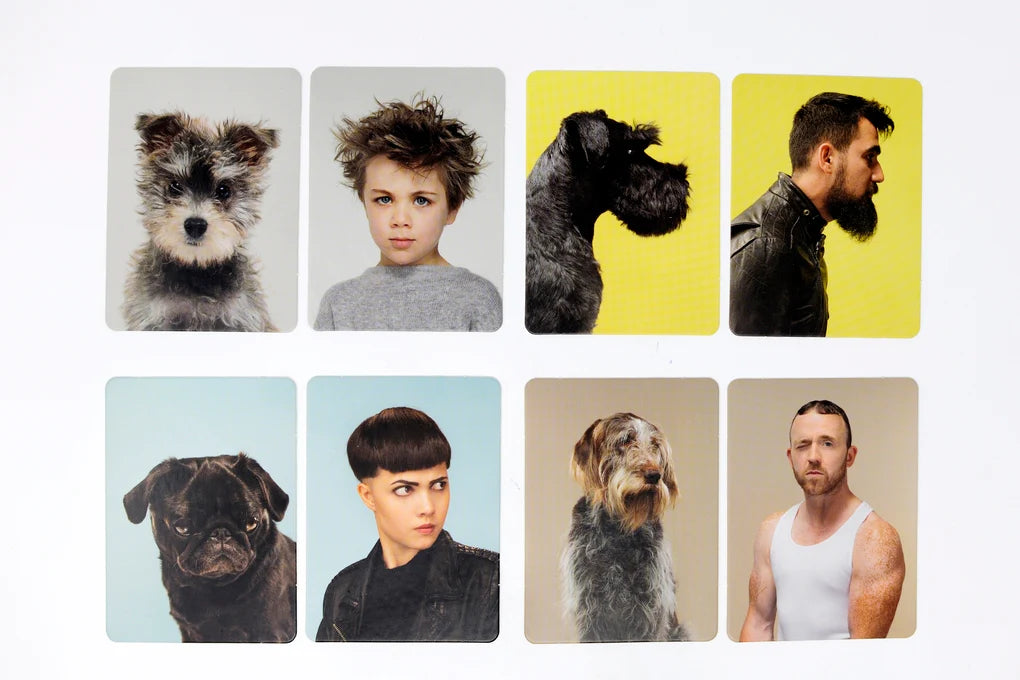 Siehst du aus wie dein Hund? – Das Memory-Spiel für Hunde- und Menschenfreunde