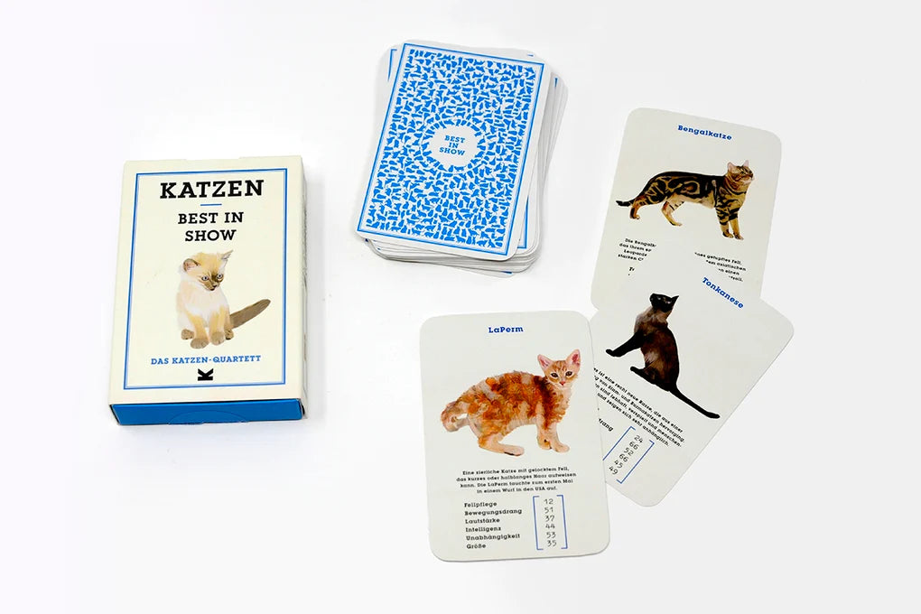 Katzen-Quartett "Best in Show"