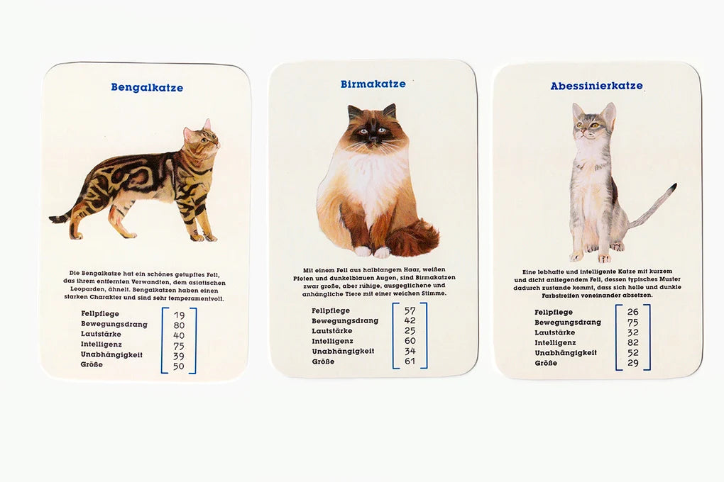 Katzen-Quartett "Best in Show"