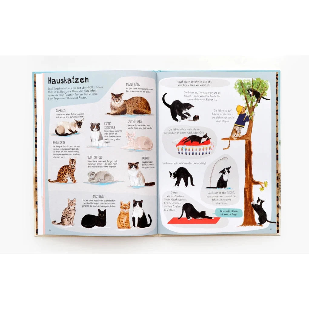 "Das Katzenbuch" 🐱