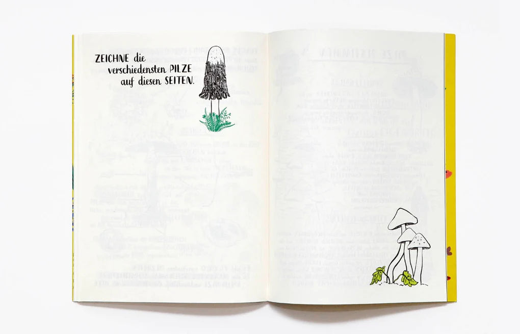 "Mein Naturbuch" 🍃🐞 - Entdecke die Wunder der Natur