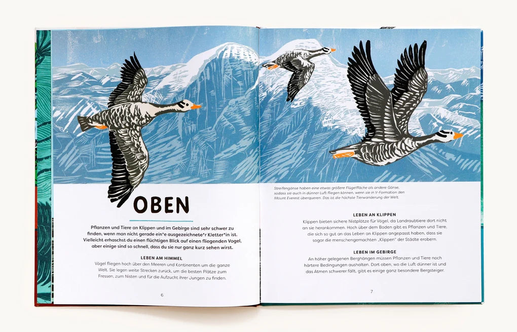 "Oben, Unten und Lange Her" – Euer Entdeckerbuch für Tiere, Pflanzen und Fossilien