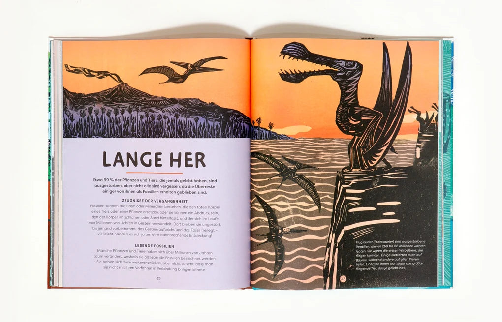 "Oben, Unten und Lange Her" – Euer Entdeckerbuch für Tiere, Pflanzen und Fossilien