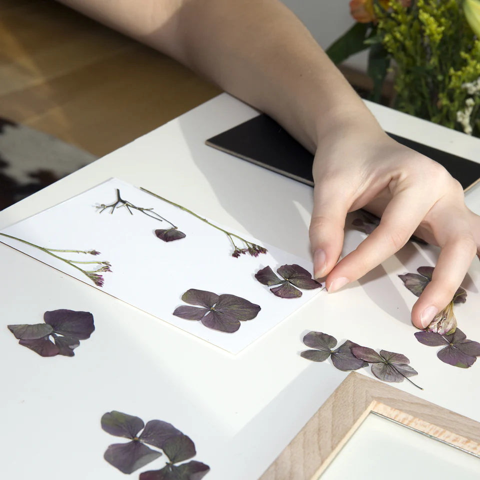 Huckleberry - DIY gepresste Blume Rahmen
