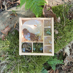 Natur-Sammelkasten mit Lupe🌿🔍