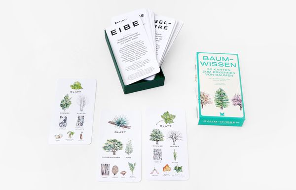 Baum Wissen - 30 Karten zum erkennen von Bäumen