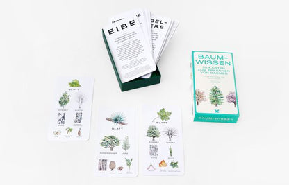 Baum-Wissen: 30 Karten zum Erkennen von Bäumen