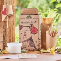 Leckerbissen Bausatz - Vogelfutter selber machen von Die Stadtgärtner