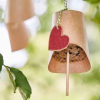 Leckerbissen Bausatz - Vogelfutter selber machen von Die Stadtgärtner