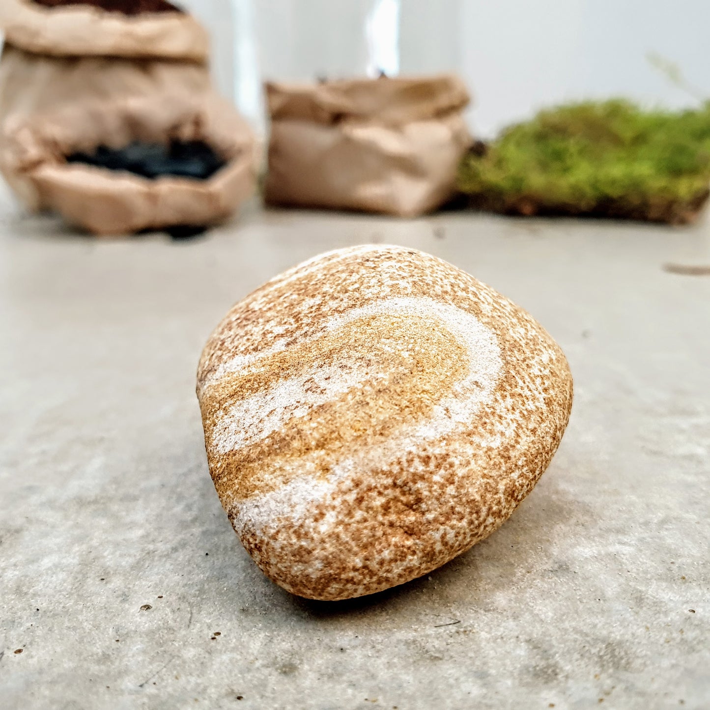 Flaschengarten 4L Komplettset OHNE PFLANZEN