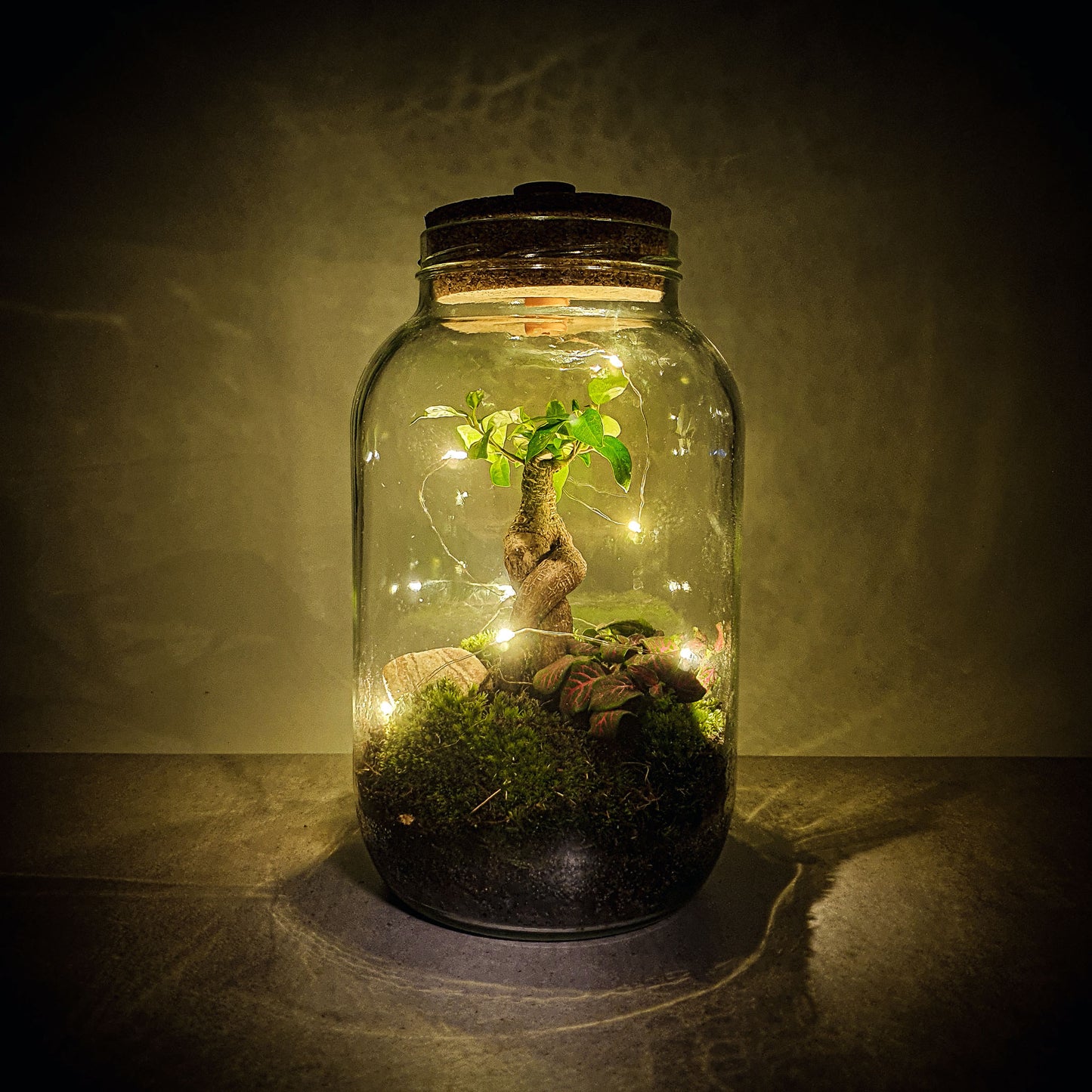 Halbling-Höhle Flaschengarten mit Bonsai und Moos