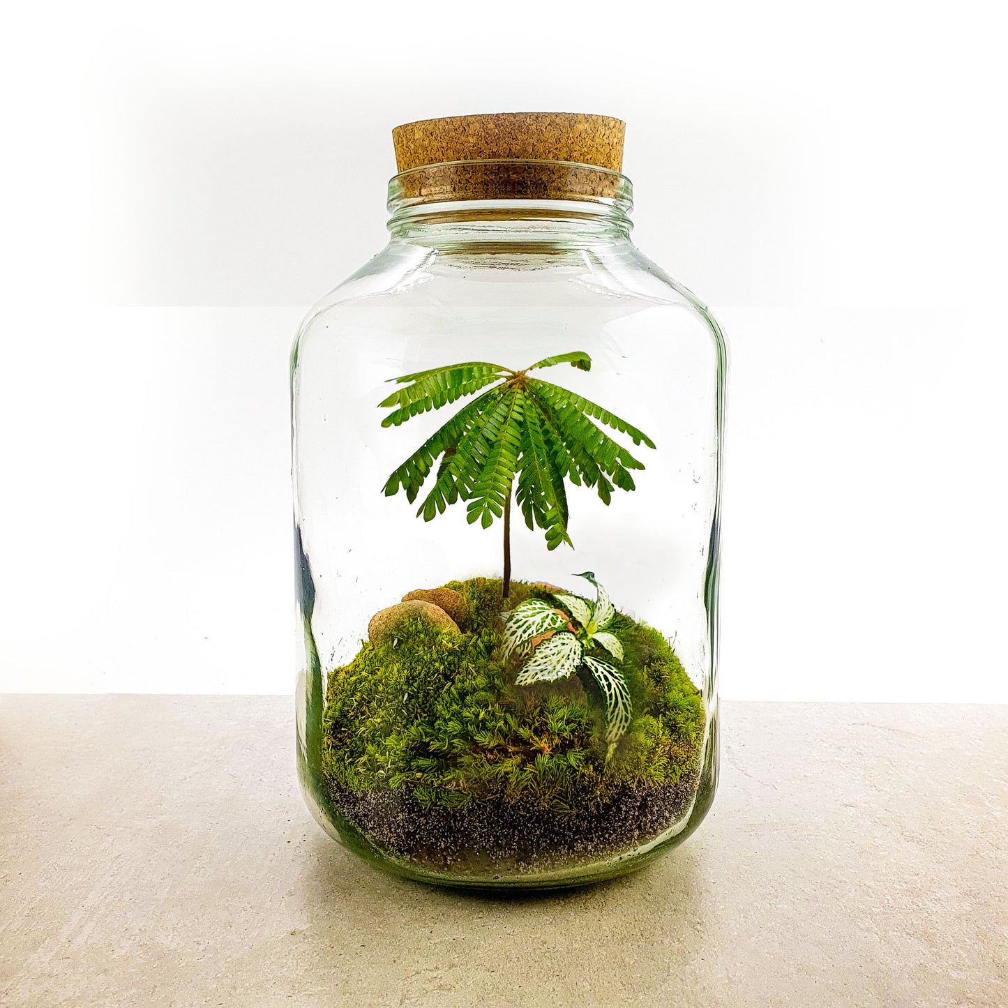 Flaschengarten 5L