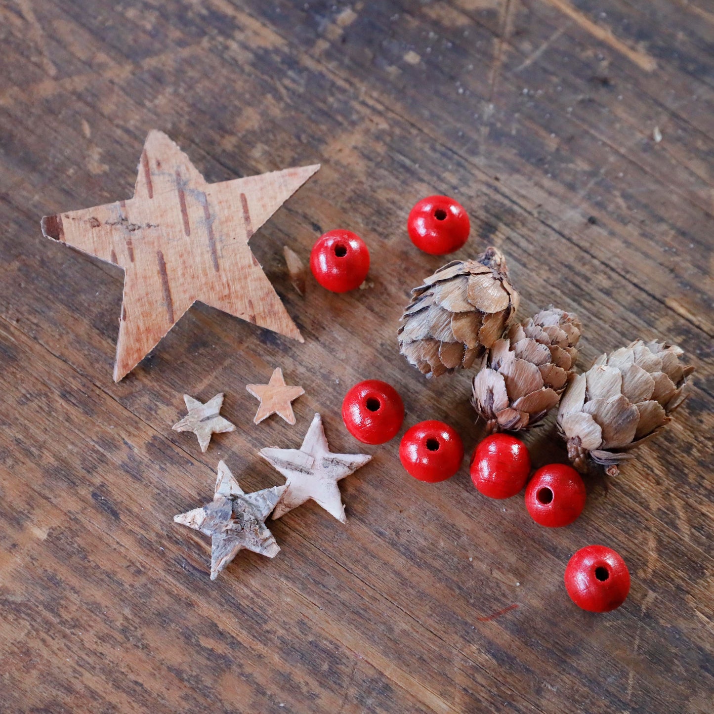 Weihnachtlicher Flaschengarten