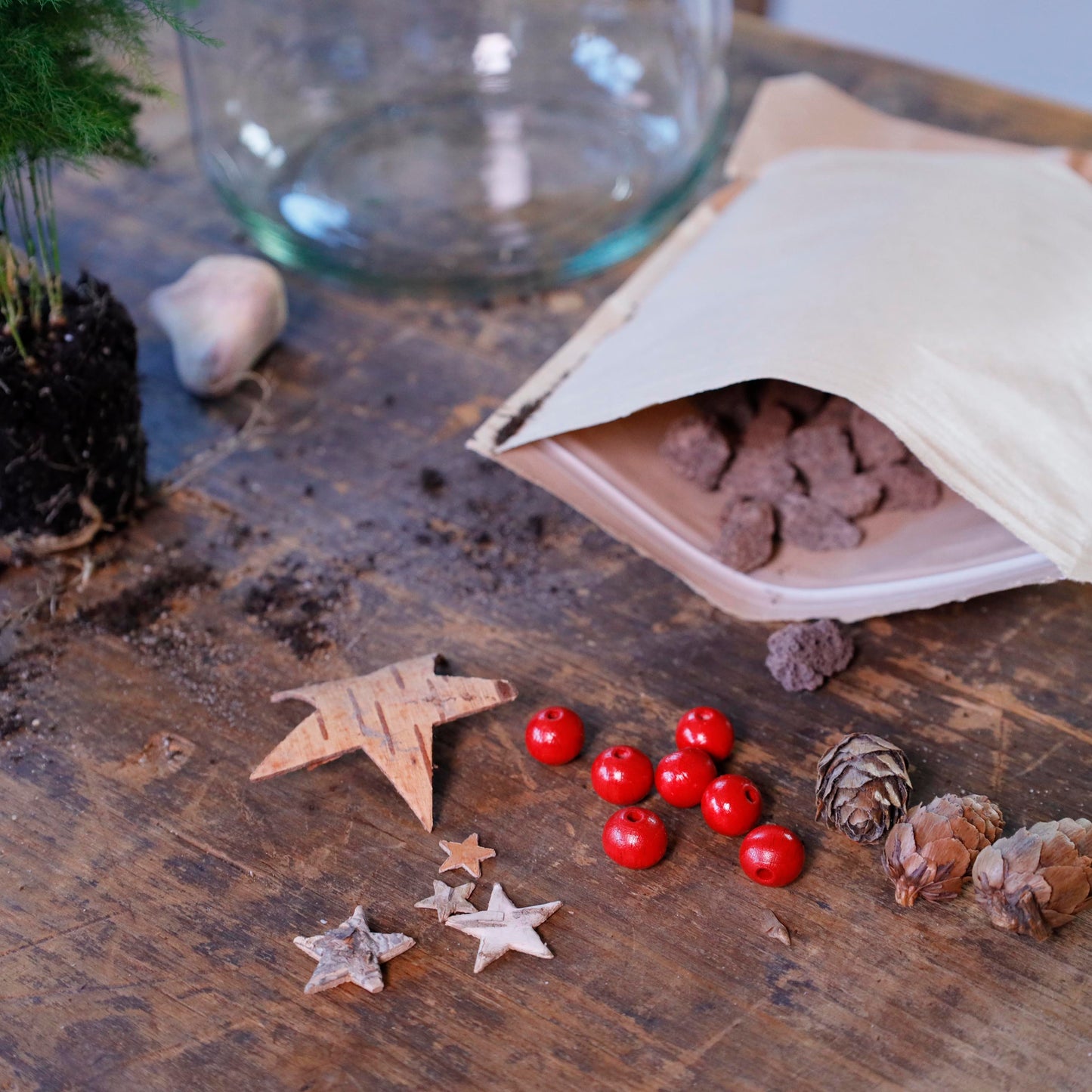 Weihnachtlicher Flaschengarten