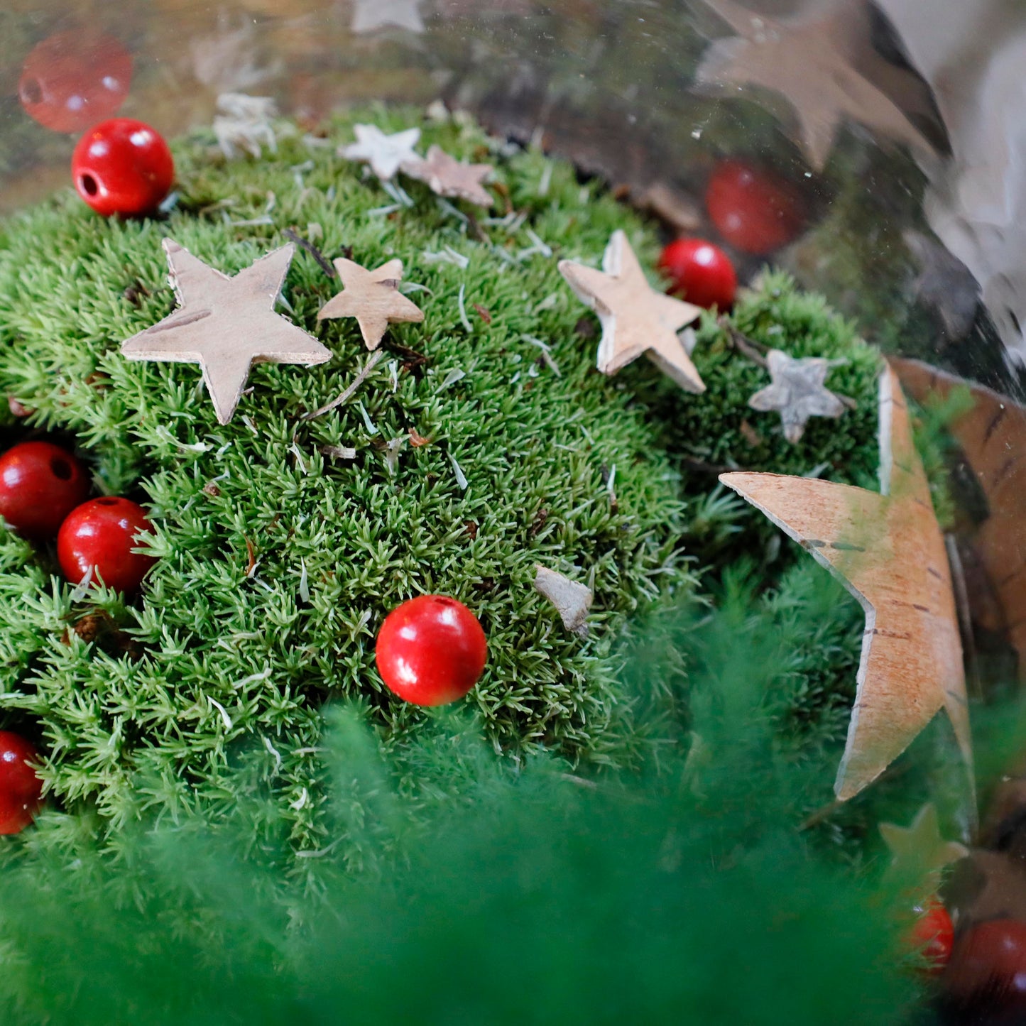 Weihnachtlicher Flaschengarten
