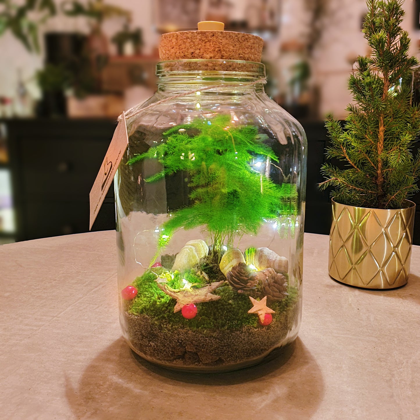 Weihnachtlicher Flaschengarten