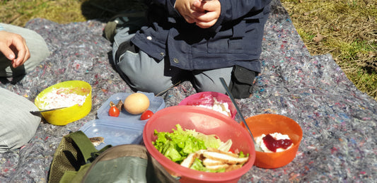 🧺 Waldpicknick unter Bäumen