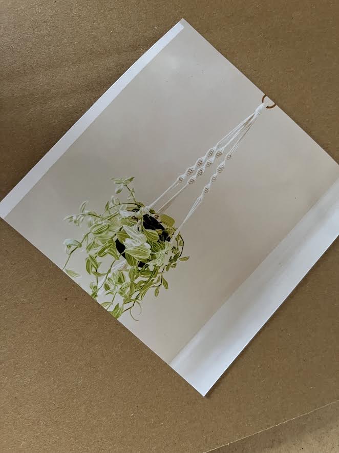 DIY Macramé Pflanzenhänger-Kit in Geschenkverpackung