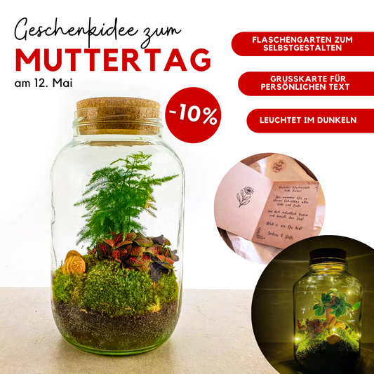Muttertags-Geschenkset 4L- Flaschengarten mit LED-Korken und persönlicher Grußkarte