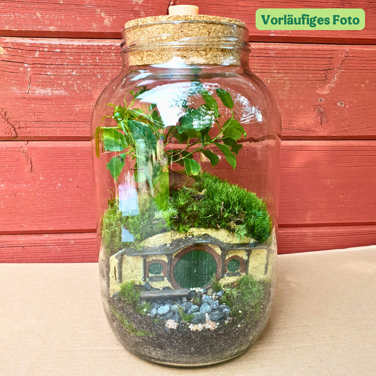 Halbling-Höhle Flaschengarten mit Bonsai und Moos