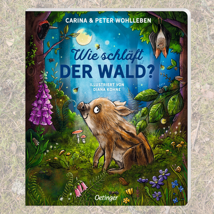 Wie schläft der Wald? (Pappbilderbuch)