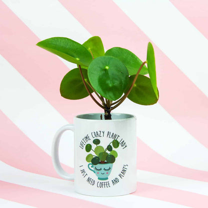 "Crazy Plant Lady Pilea" - Deine perfekte Tasse für Kaffeeliebhaber*innen mit grünem Daumen!