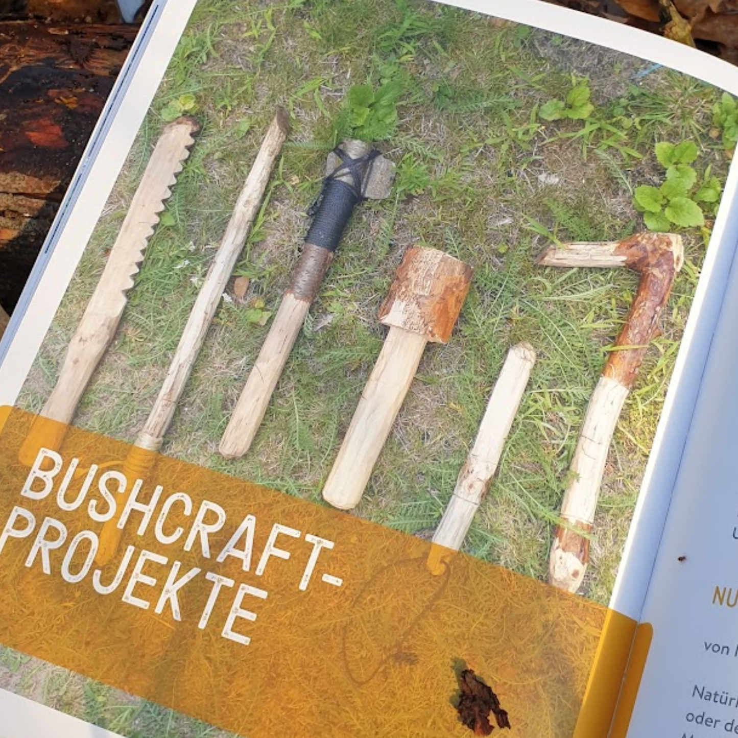 Bushcraft for Family: Gemeinsam in die Wildnis - Buch