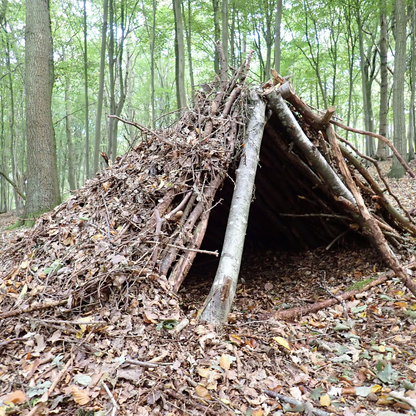 Bushcraft for Family: Gemeinsam in die Wildnis - Buch