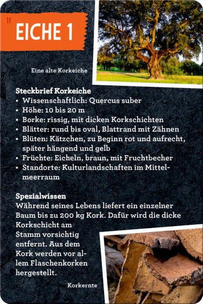 50 Bäume kennen & erleben - Nature Zoom (Blechdose)