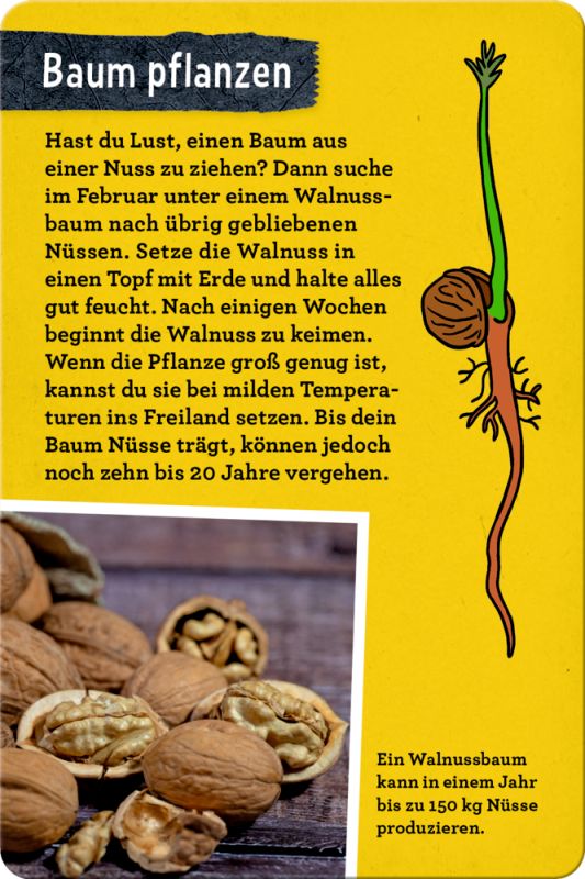 50 Bäume kennen & erleben - Nature Zoom (Blechdose)