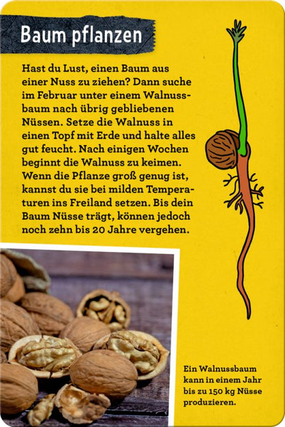 50 Bäume kennen & erleben - Nature Zoom (Blechdose)