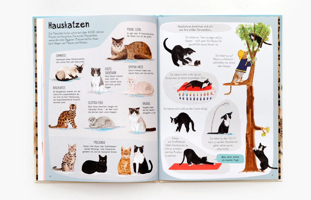 Das Katzenbuch