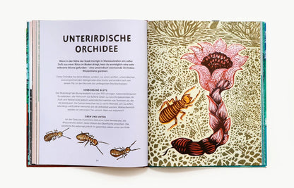 "Oben, Unten und Lange Her" – Euer Entdeckerbuch für Tiere, Pflanzen und Fossilien