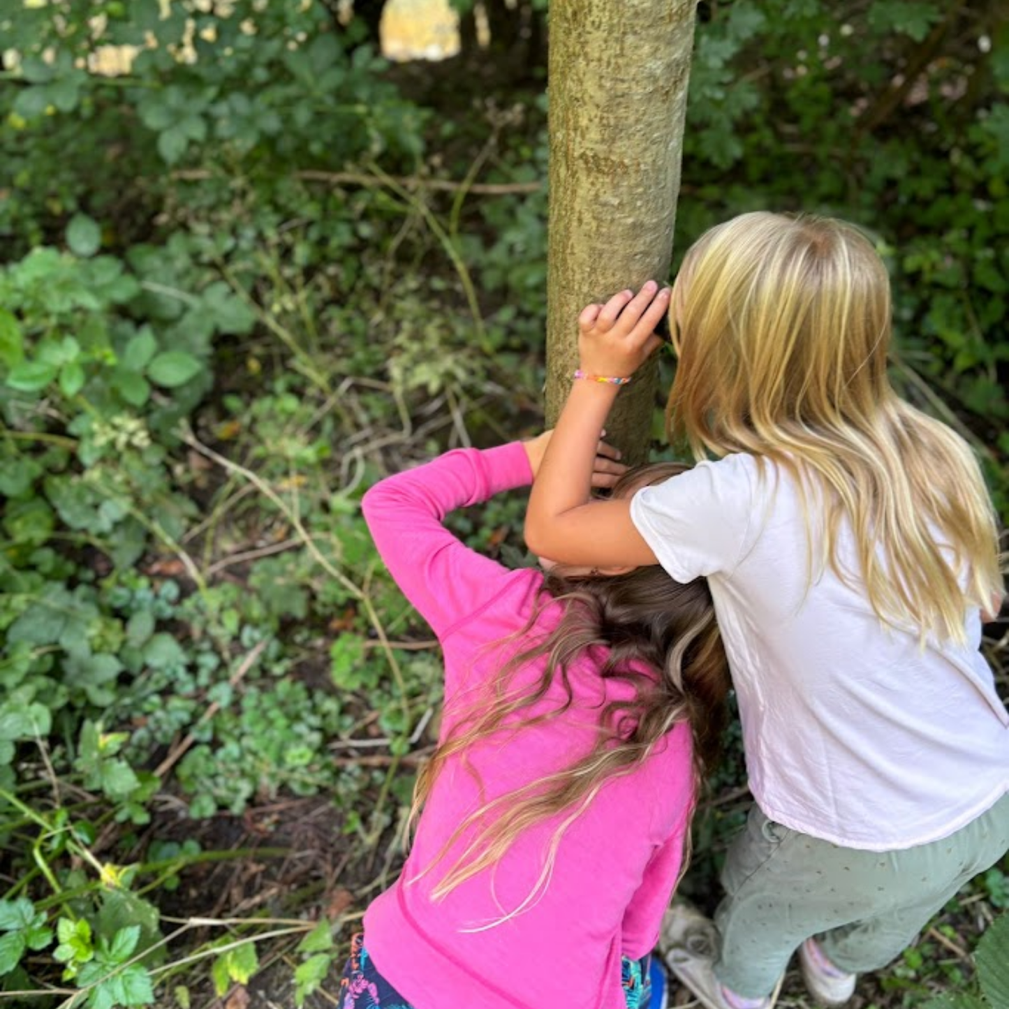 Super-Lupe für kleine Naturwunder