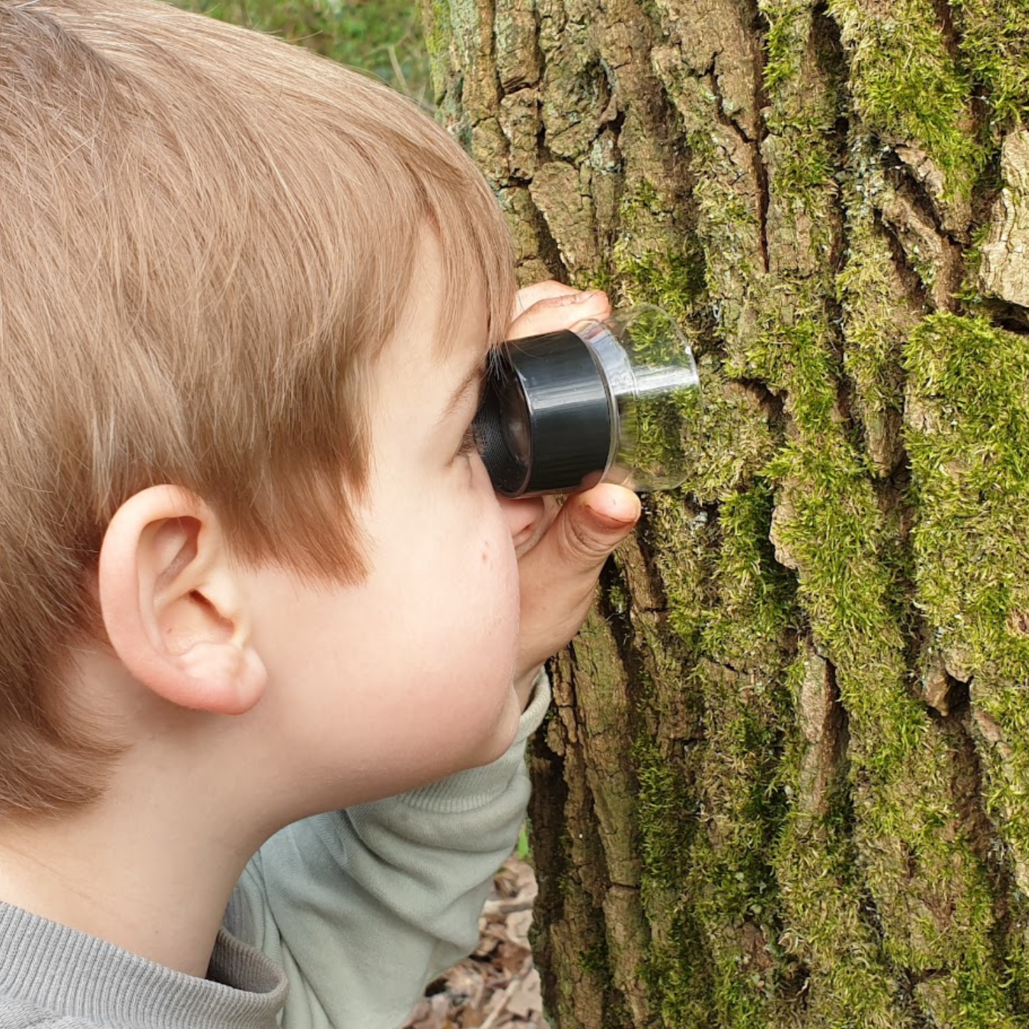 Super-Lupe für kleine Naturwunder