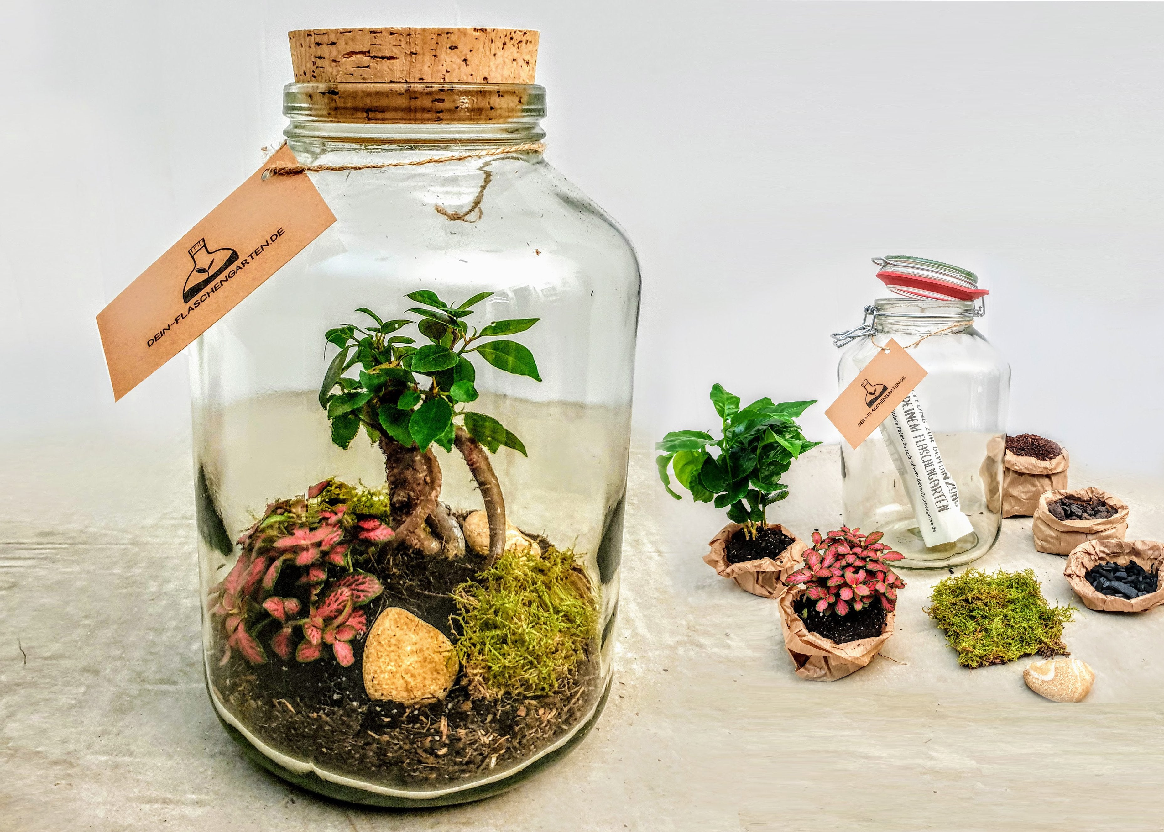 Alle Produkte – Page 1 – Dein-Flaschengarten.de