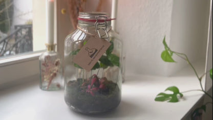 Muttertags-Geschenkset 4L- Flaschengarten mit LED-Korken und persönlicher Grußkarte