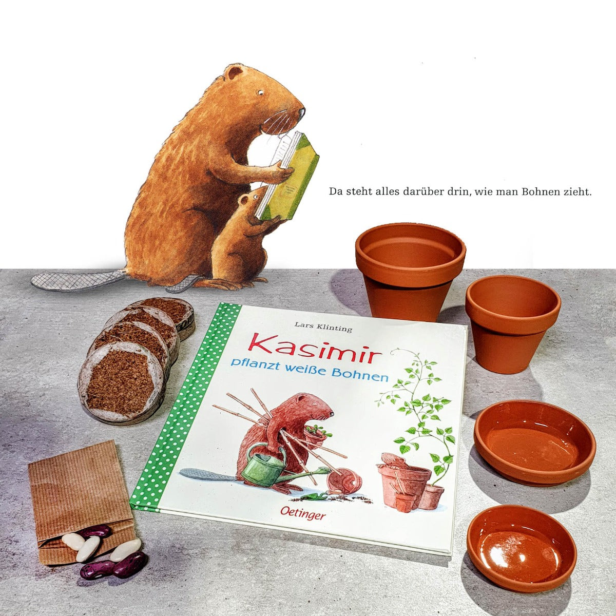 "Kasimir pflanzt weiße Bohnen" - Pflanzset mit Kinderbuch ab 4 Jahren