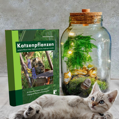 Flaschengarten-Set für Katzenbesitzer